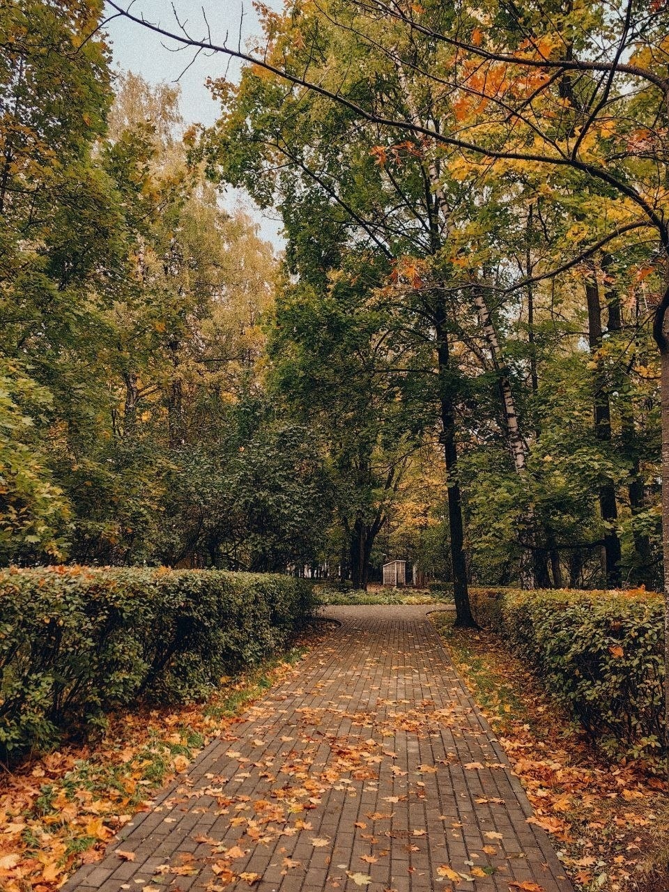 Левитан осенний день Сокольники. Осень в Сокольниках.