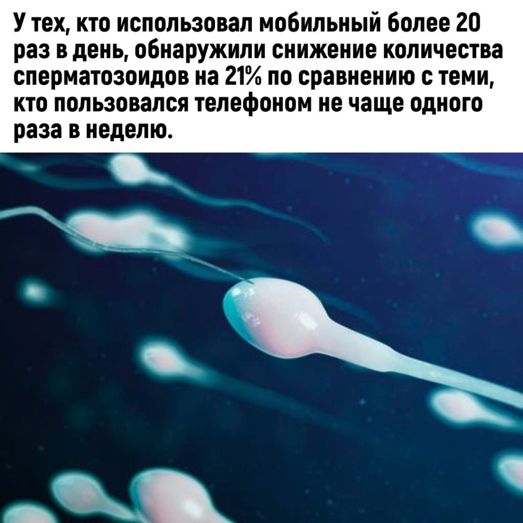 увеличению качества спермы фото 57