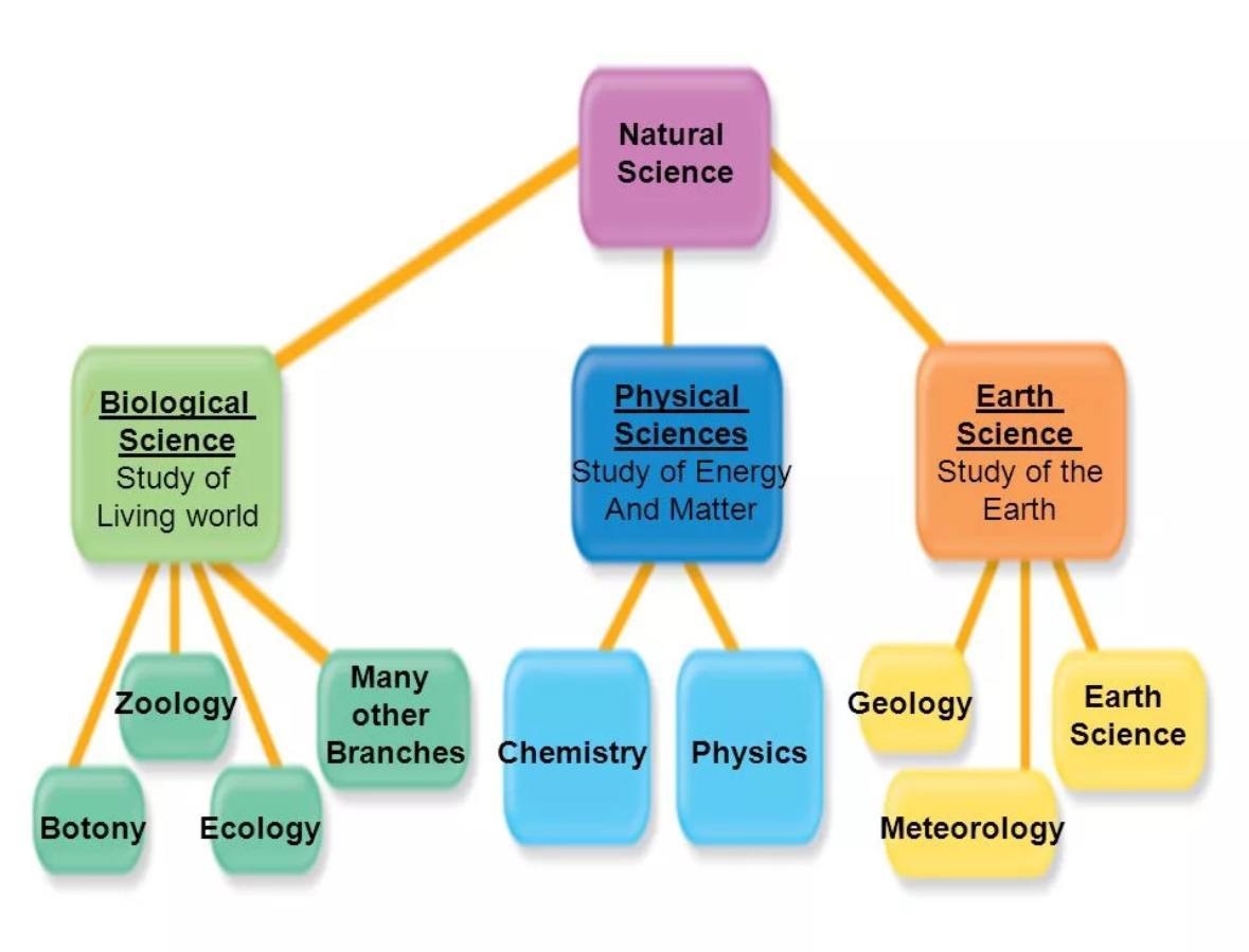 What science studies