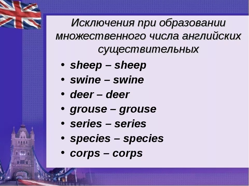 Множественное число существительных исключения. Множественная форма существительных в английском языке. Формы множественного числа в английском языке. Образование формы множественного числа в английском языке. Существительные во множественном числе в английском языке таблица.